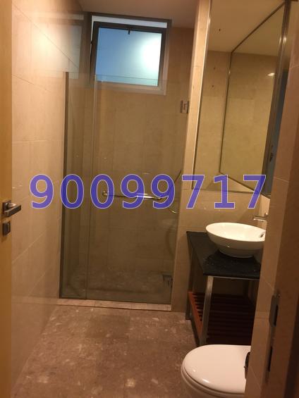 Cairnhill Crest (D9), Condominium #62549462